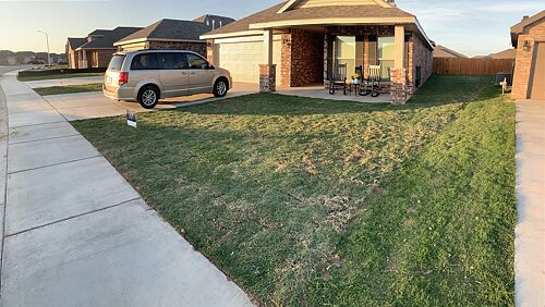 A lawn in Lubbock, TX