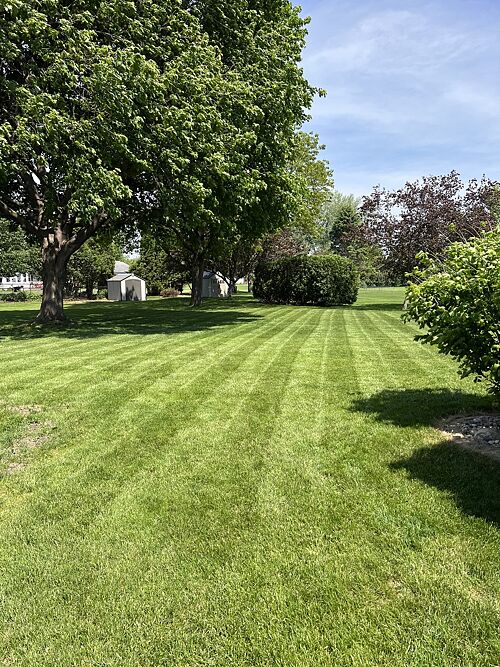 A lawn in Janesville, WI