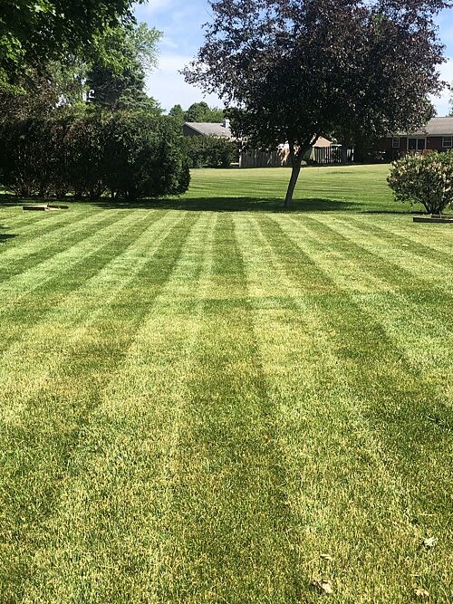 A lawn in Janesville, WI