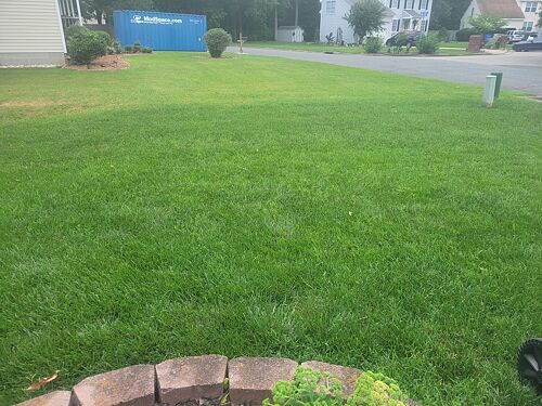 A lawn in Chesapeake, VA