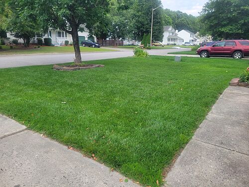 A lawn in Chesapeake, VA