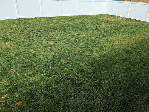 A lawn in Bowling Green, KY