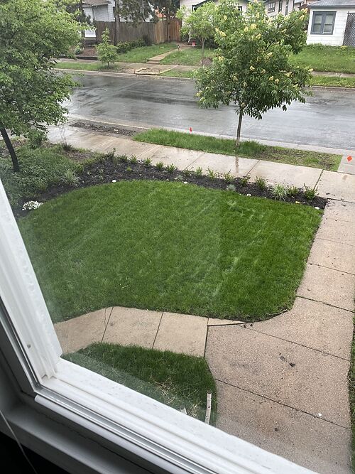 A lawn in Minneapolis, MN