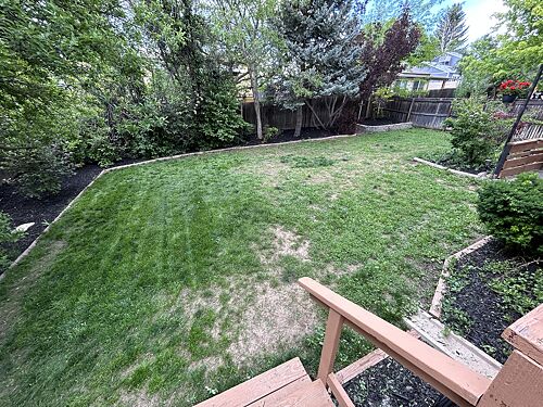 A lawn in Westminster, CO