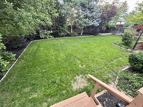 A lawn in Westminster, CO