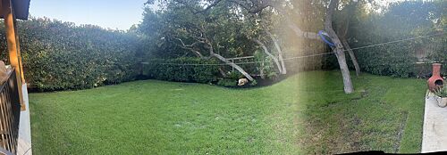 A lawn in San Antonio, TX