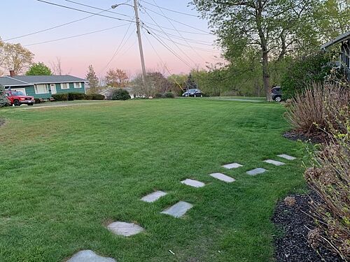 A lawn in MA