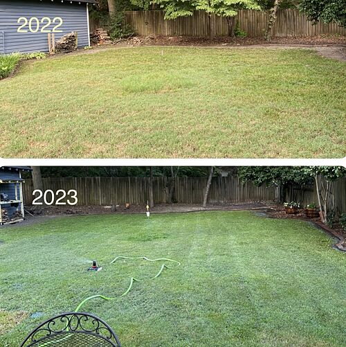 A lawn in Fayetteville, NC