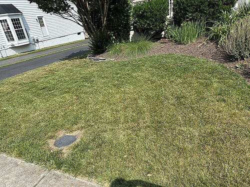 A lawn in Virginia