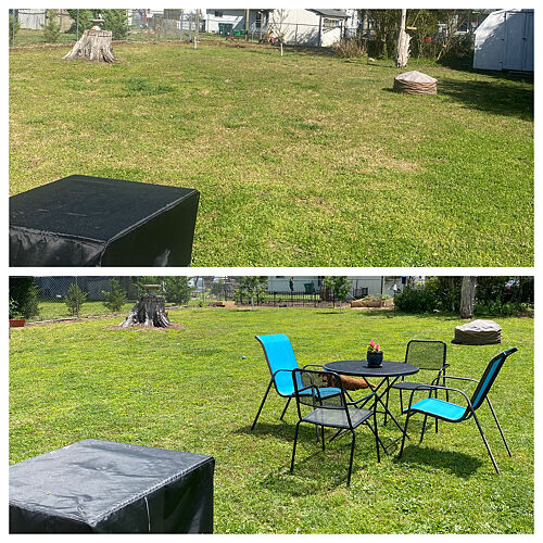 A lawn in Richmond, VA