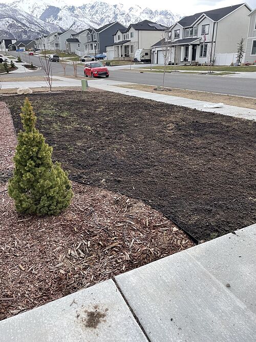 A lawn in Layton, Utah