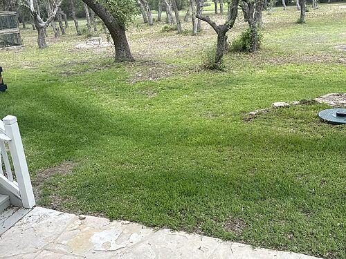 A lawn in Dripping Springs, TX