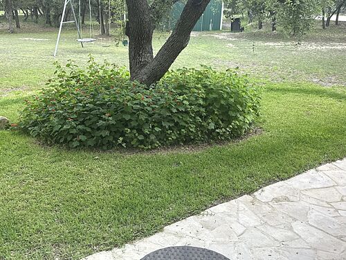 A lawn in Dripping Springs, TX