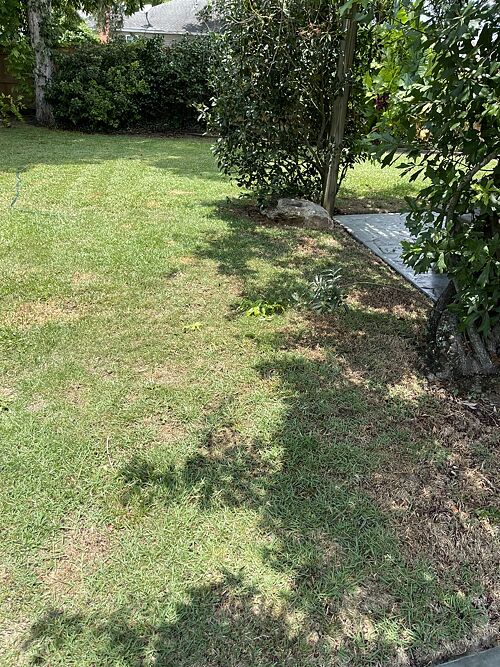 A lawn in Metairie, LA