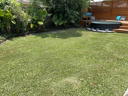 A lawn in Metairie, LA