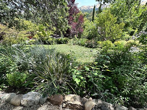 A lawn in Walnut Creek, CA
