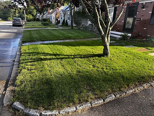 A lawn in Warwick, RI