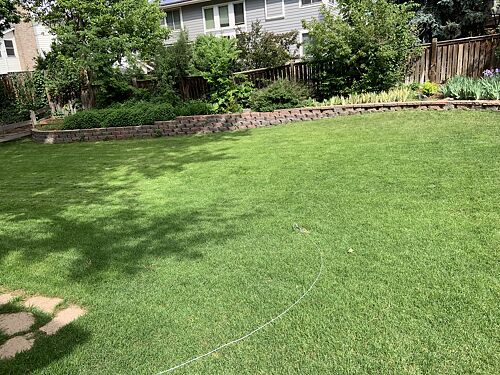 A lawn in Highlands Ranch, CO