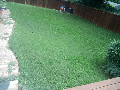 A lawn in Shreveport, LA