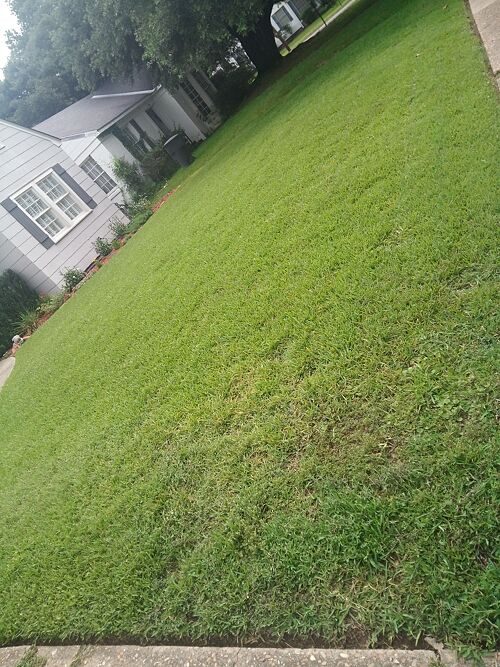 A lawn in Shreveport, LA