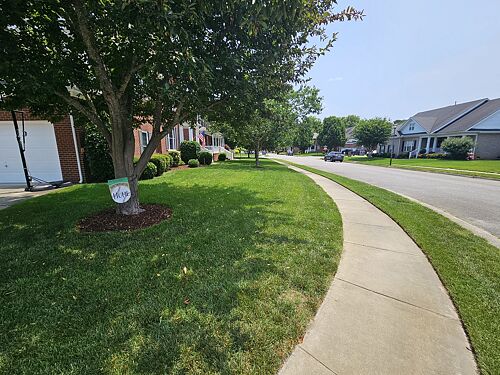 A lawn in Chesapeake, VA