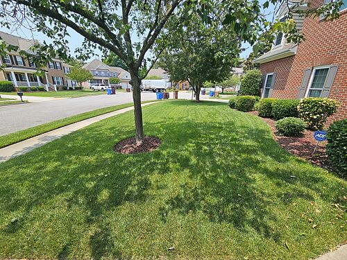 A lawn in Chesapeake, VA