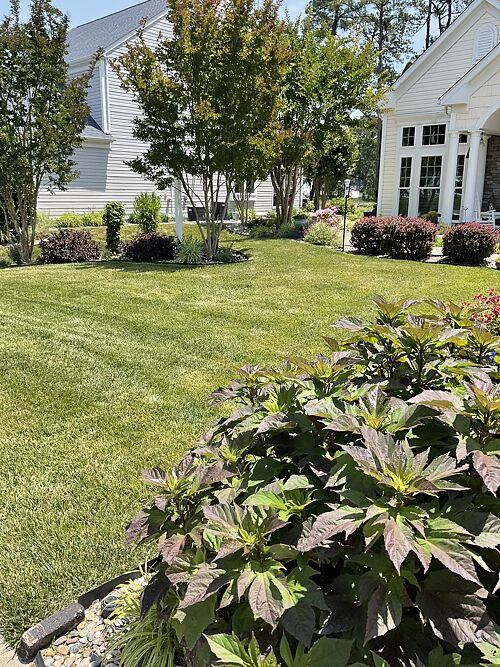 A lawn in Ocean View, DE