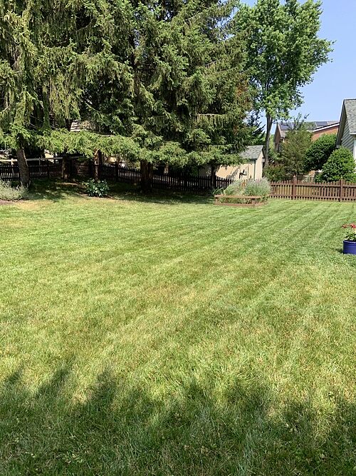 A lawn in Frederick, MD