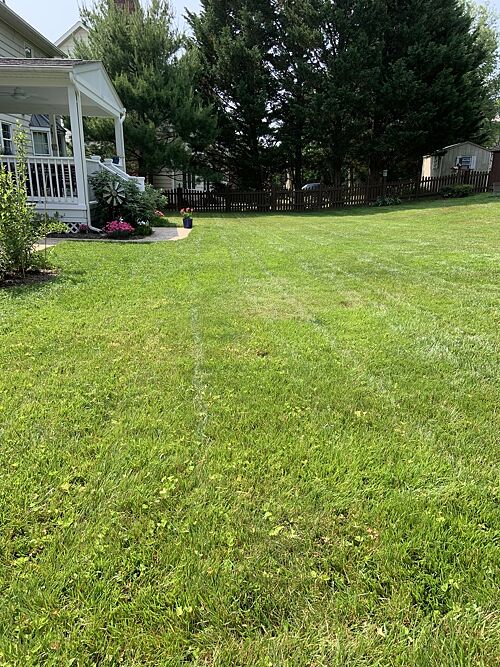 A lawn in Frederick, MD