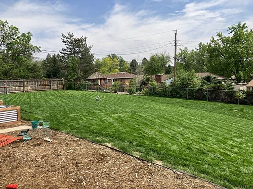 A lawn in Littleton, CO