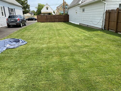 A lawn in Buffalo, NY