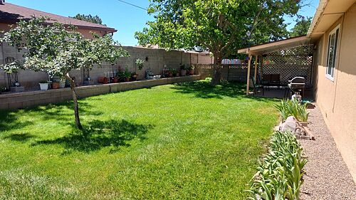 A lawn in Albuquerque, NM