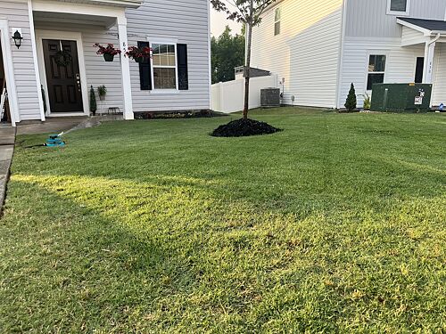 A lawn in Spartanburg, SC
