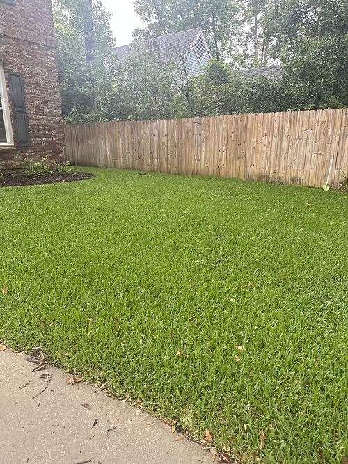 A lawn in Tallahassee, FL