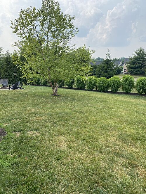 A lawn in Monroe, OH