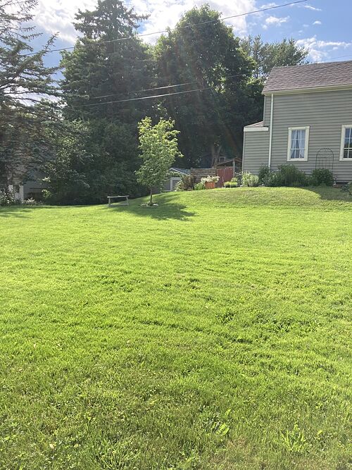 A lawn in Winterport, ME