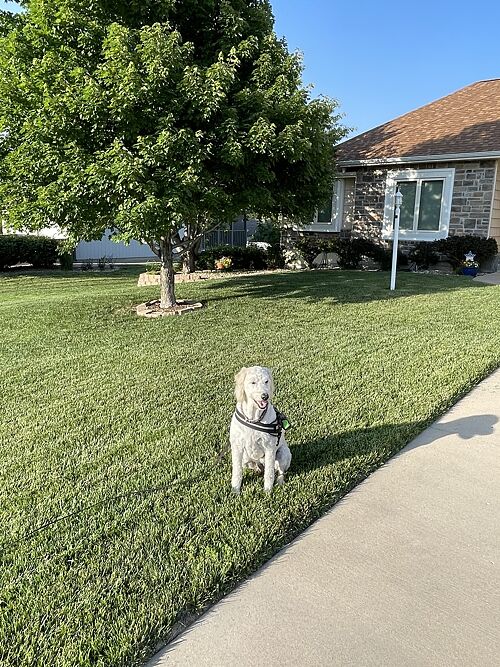 A lawn in Topeka, KS