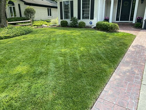 A lawn in Glenview, IL