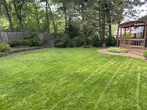 A lawn in Glenview, IL