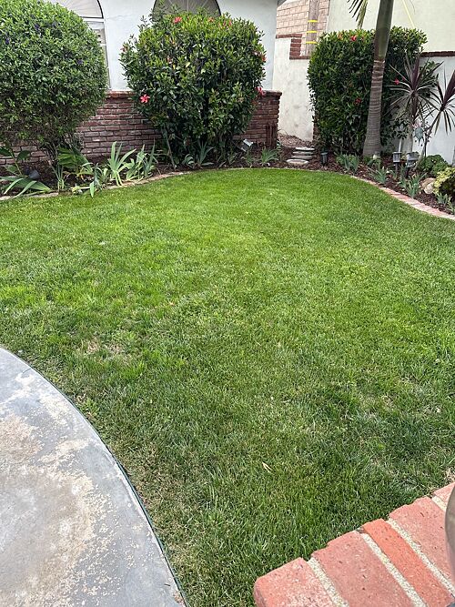 A lawn in Redondo Beach, CA