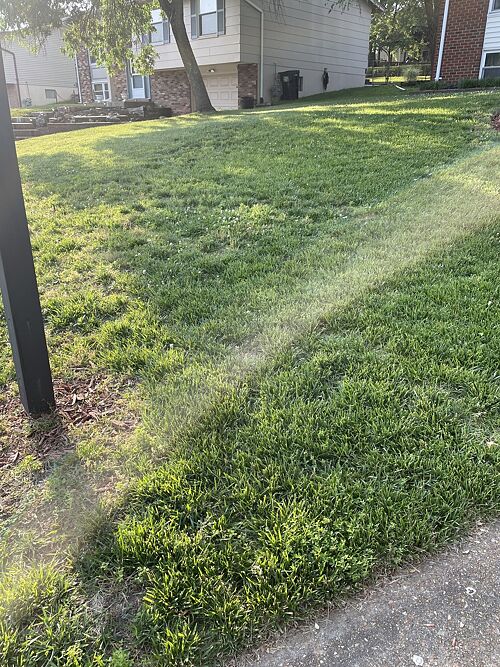 A lawn in Fenton, MO