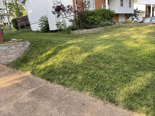 A lawn in Fenton, MO