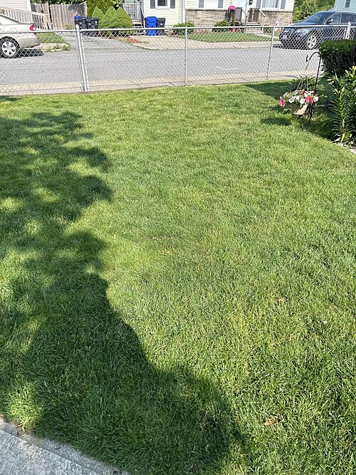 A lawn in Pawtucket, RI