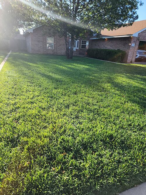 A lawn in Clovis, NM