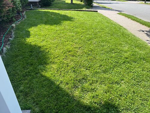 A lawn in Quincy, MA