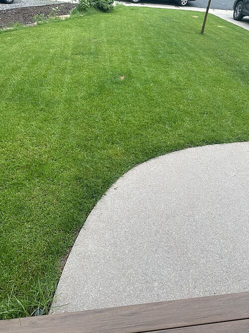 A lawn in Louisville, CO