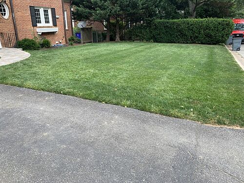 A lawn in Bethesda, MD