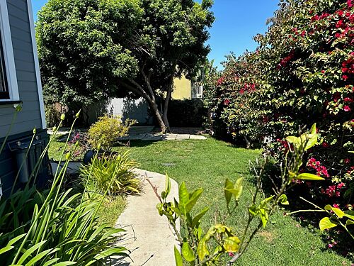 A lawn in San Diego, CA