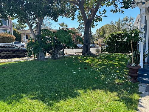 A lawn in San Diego, CA