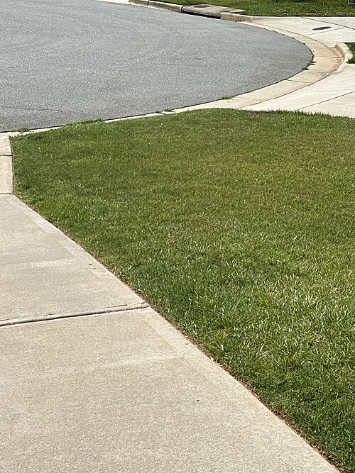 A lawn in NC